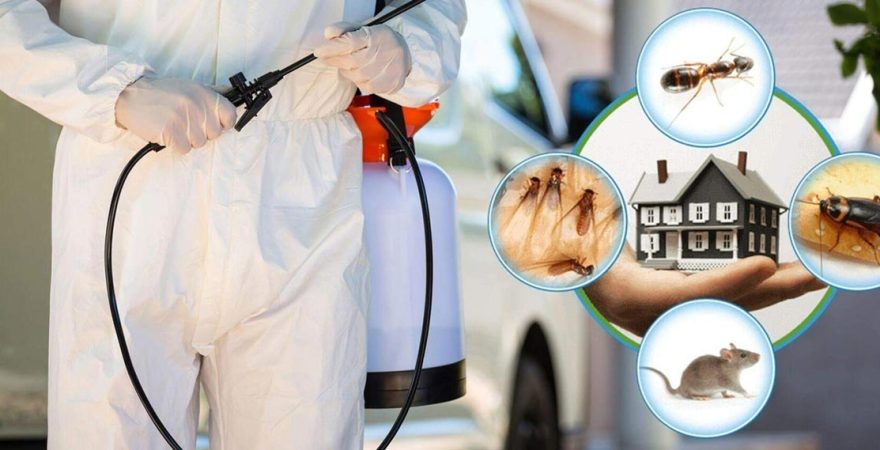 Acıpayam Böcek İlaçlama