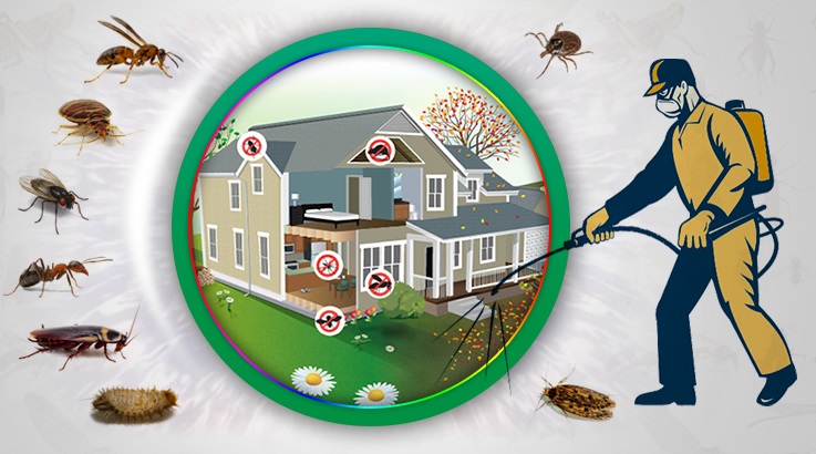 Acıpayam Böcek İlaçlama