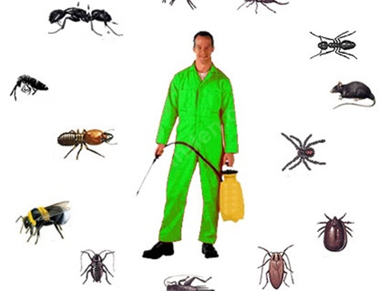 Acıpayam Böcek İlaçlama